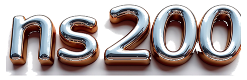 ns200 logo
